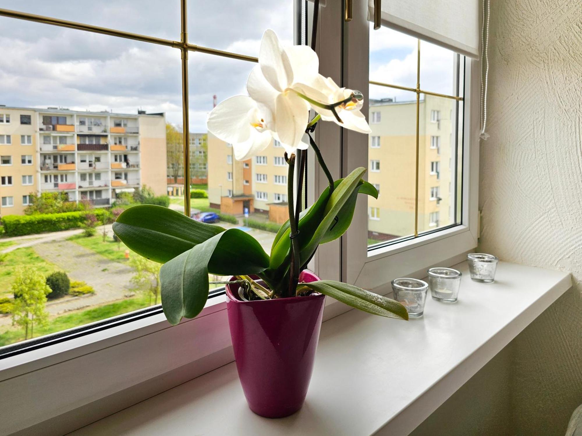 Visit Baltic - Apartament Sunny Swinemünde Exterior foto